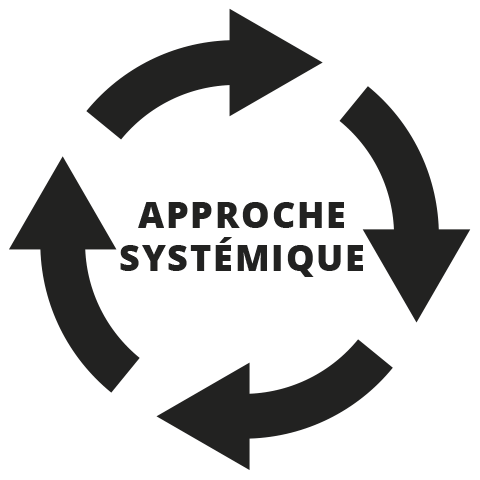 Approche Systémique