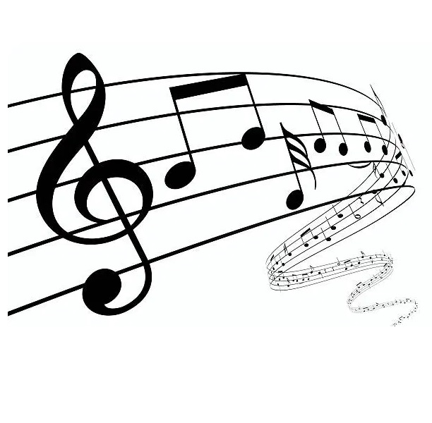 5/5